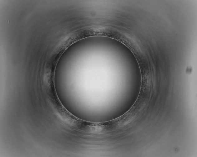 X0000094970698200711291504