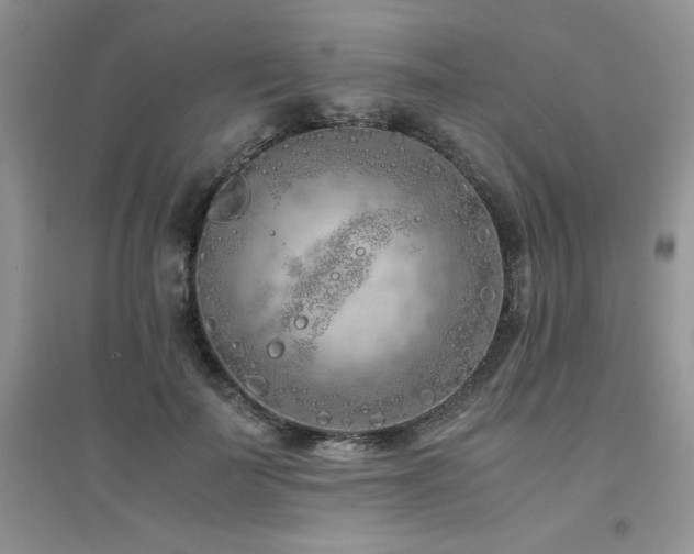 X0000094970699200711291504