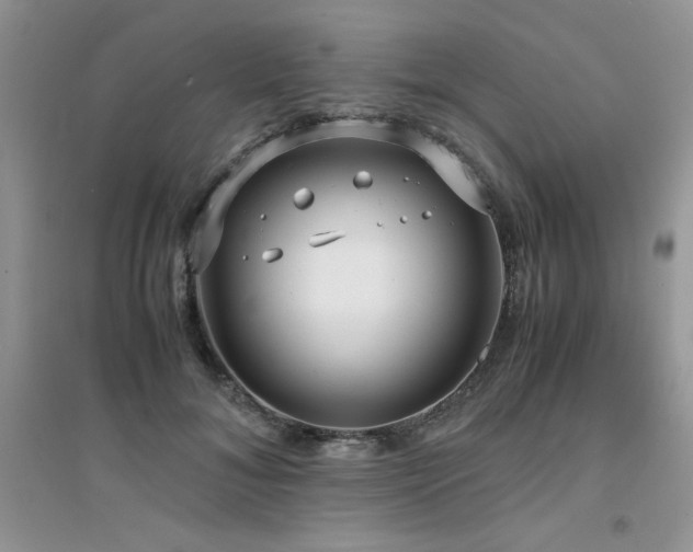 X0000094970700200711291504
