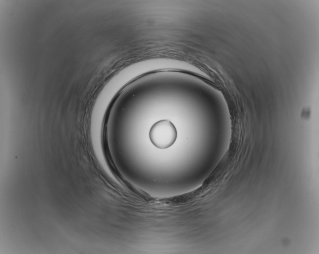 X0000094970701200711291504