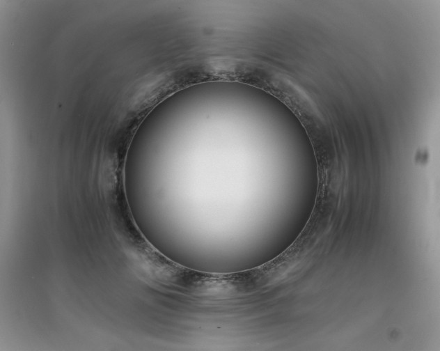 X0000094970702200711291504