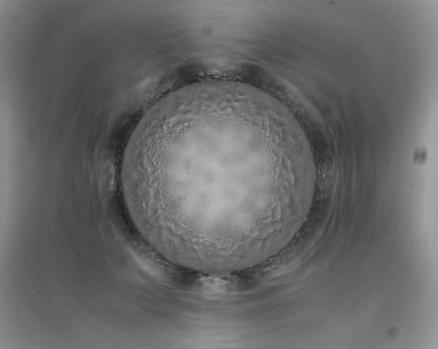 X0000094970703200711291504
