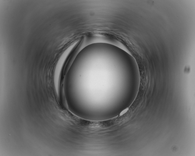 X0000094970704200711291504
