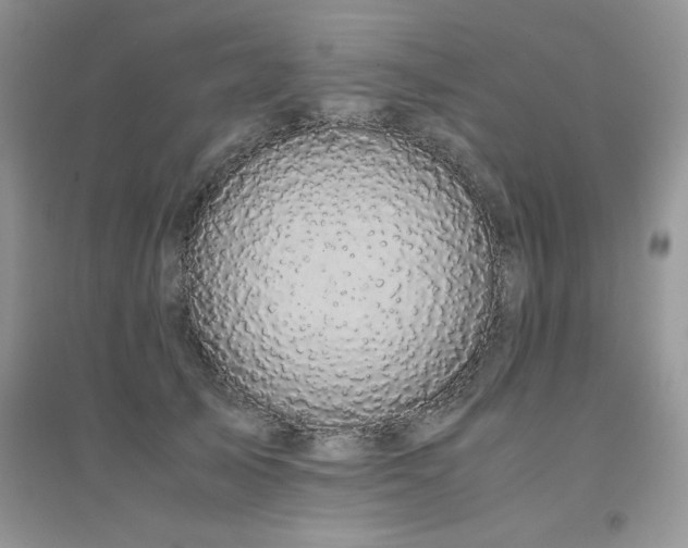 X0000094970705200711291504