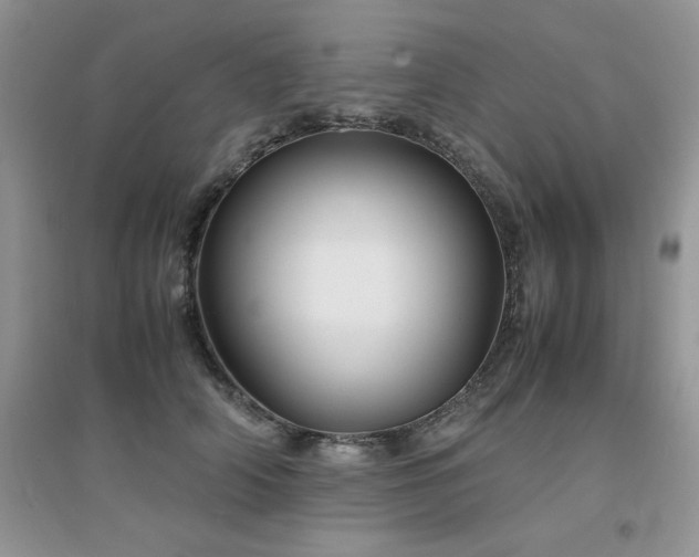 X0000094970706200711291504