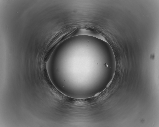 X0000094970708200711291503