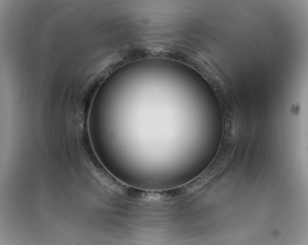 X0000094970710200711291503