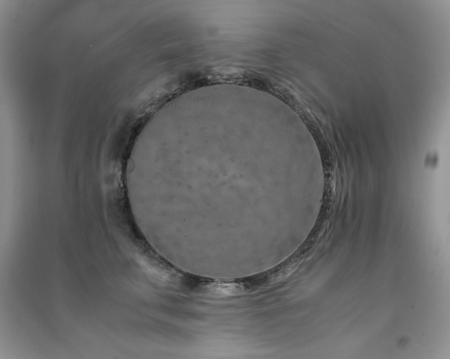 X0000094970711200711291503