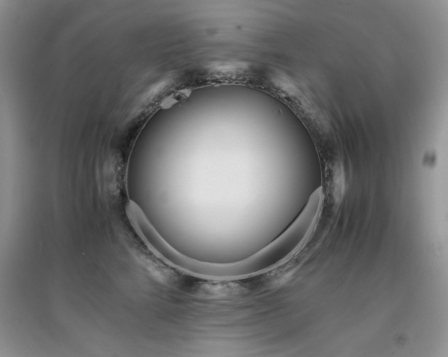 X0000094970712200711291503