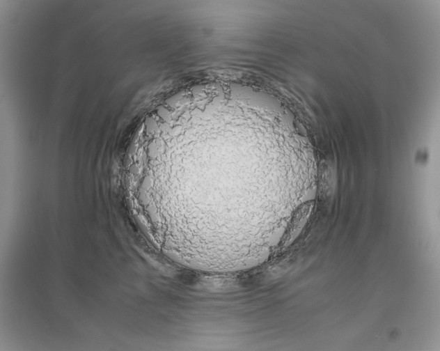 X0000094970713200711291503