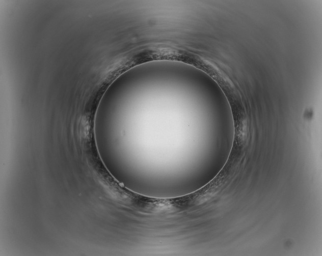 X0000094970715200711291503