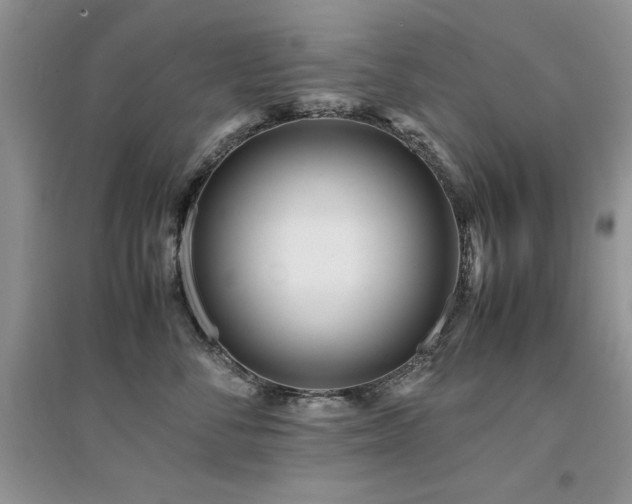 X0000094970716200711291503