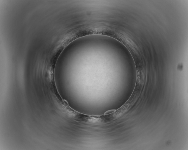 X0000094970718200711291503