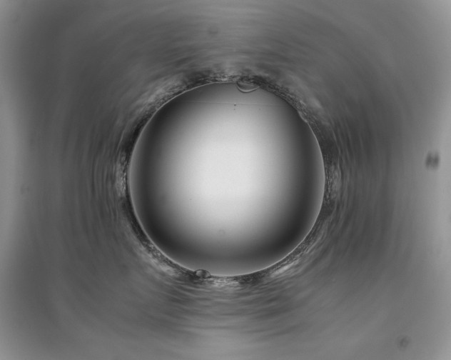X0000094970719200711291503