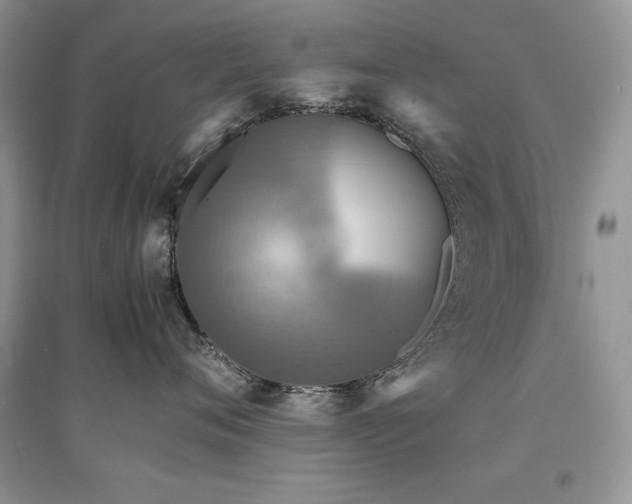 X0000094970720200711291503