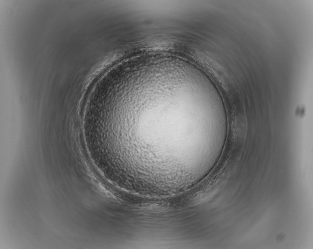 X0000094970721200711291503