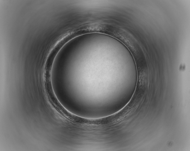 X0000094970722200711291503