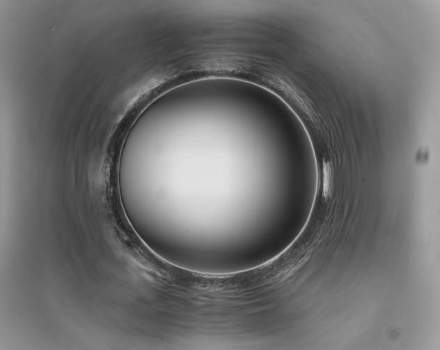 X0000094970723200711291503