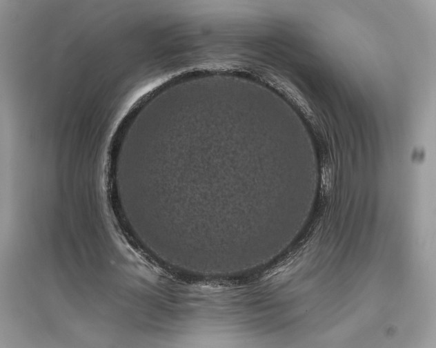 X0000094970724200711291503