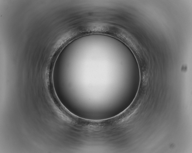 X0000094970725200711291503