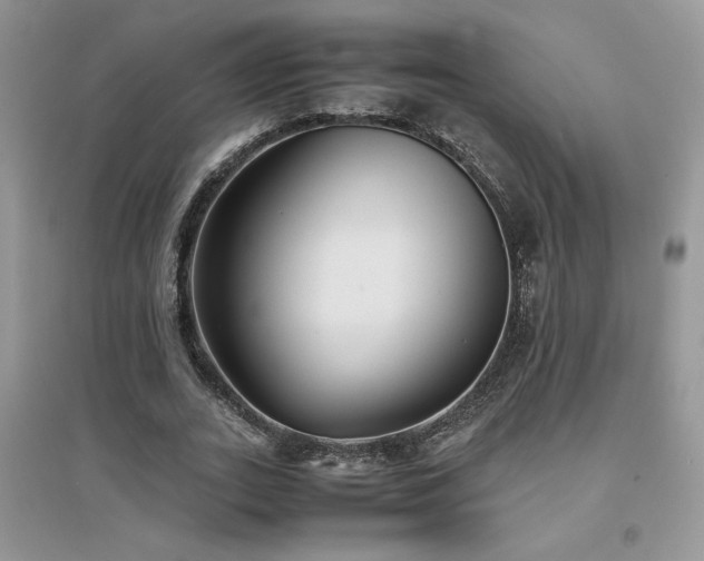 X0000094970727200711291503