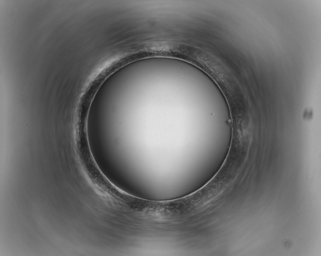 X0000094970728200711291503