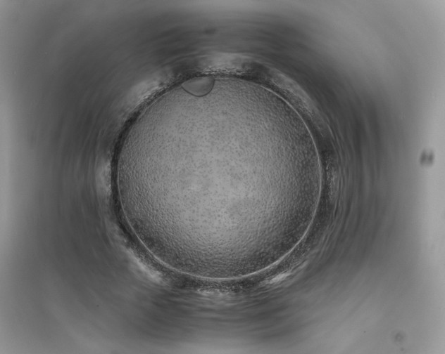 X0000094970729200711291503