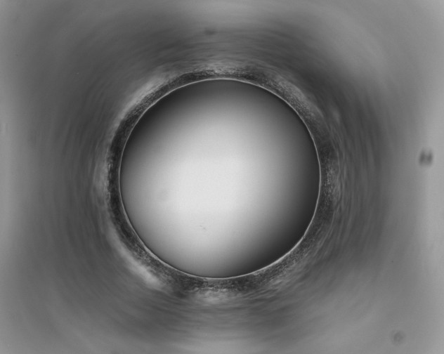 X0000094970730200711291503