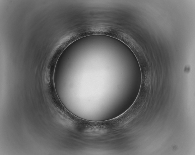 X0000094970731200711291503