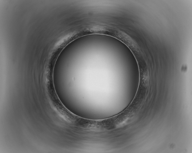 X0000094970732200711291503