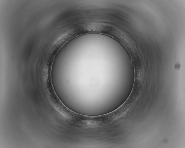 X0000094970733200711291503