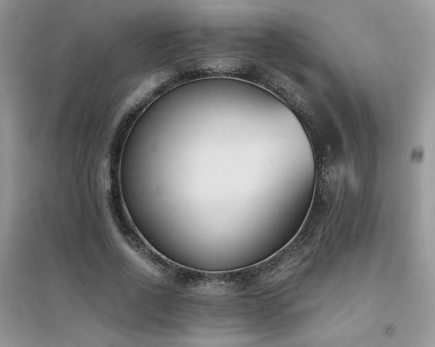 X0000094970734200711291503