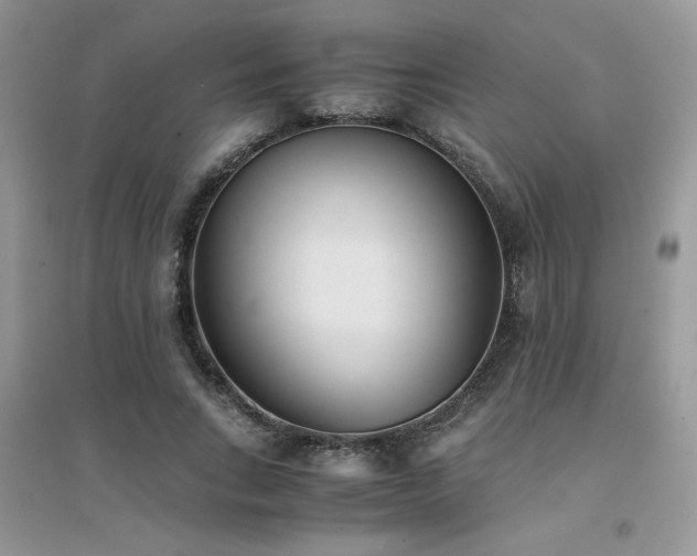 X0000094970735200711291503