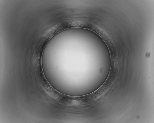 X0000094970737200711291503