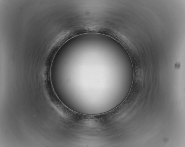 X0000094970738200711291503