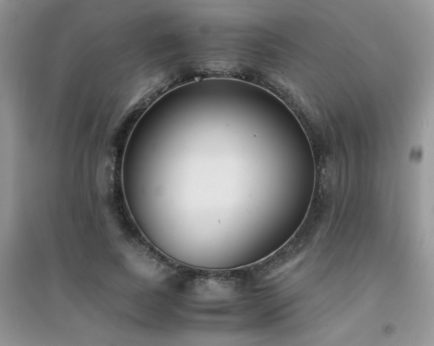 X0000094970739200711291503