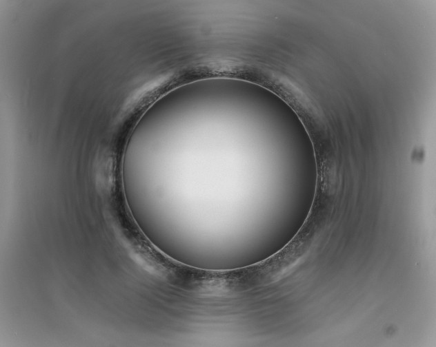 X0000094970740200711291503