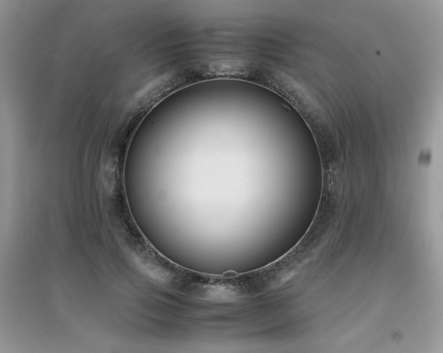 X0000094970741200711291503