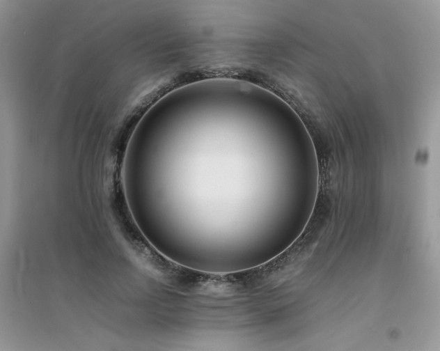 X0000094970742200711291503