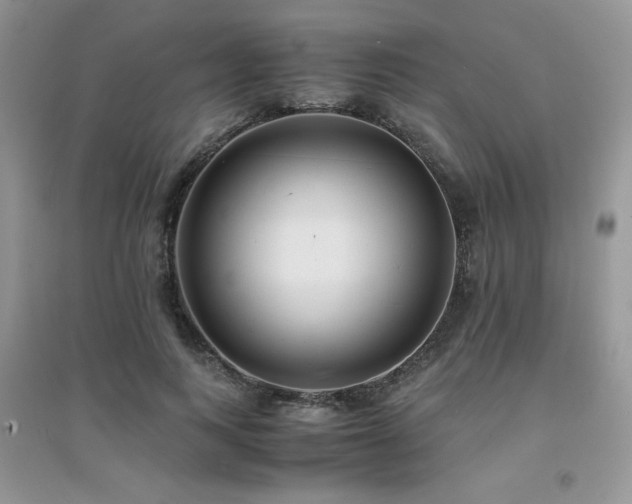 X0000094970743200711291503