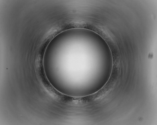 X0000094970744200711291503