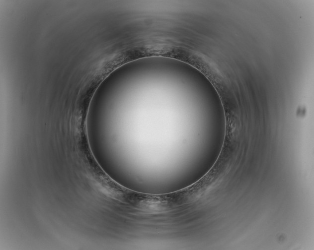 X0000094970745200711291503