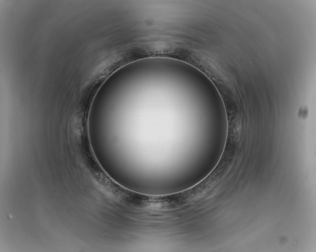 X0000094970746200711291503