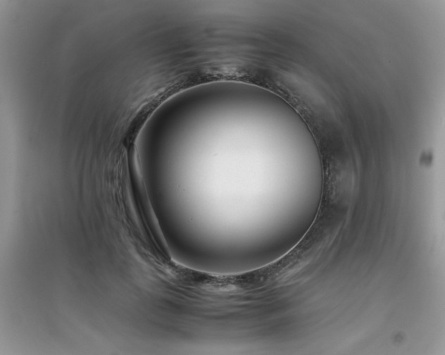 X0000094970747200711291503