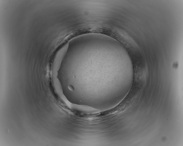 X0000094970748200711291503