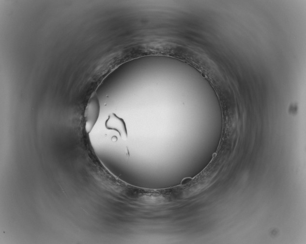 X0000094970749200711291503