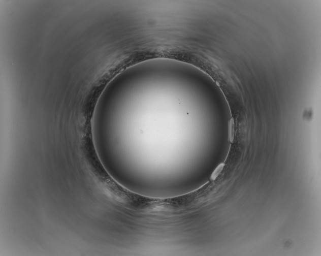 X0000094970750200711291503