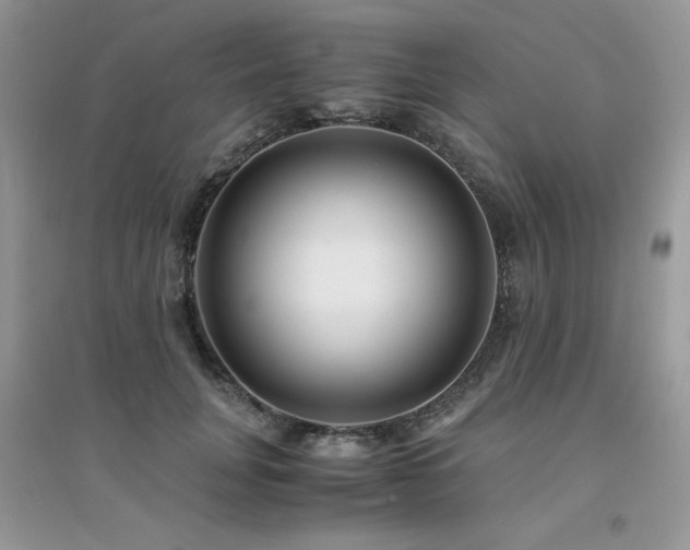 X0000094970751200711291503