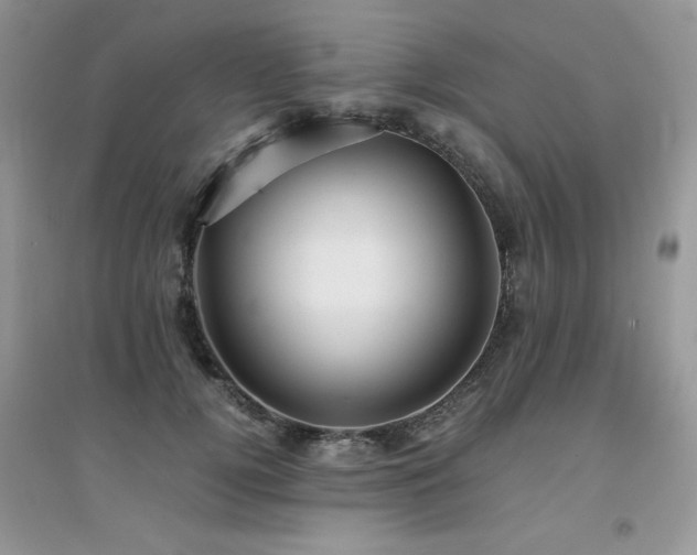 X0000094970752200711291503