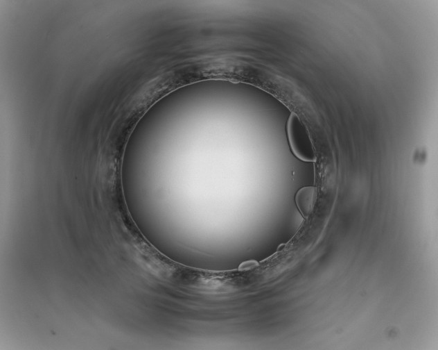 X0000094970753200711291503